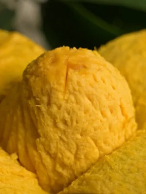 হিমসাগর (রেগুলার) ১২ কেজি