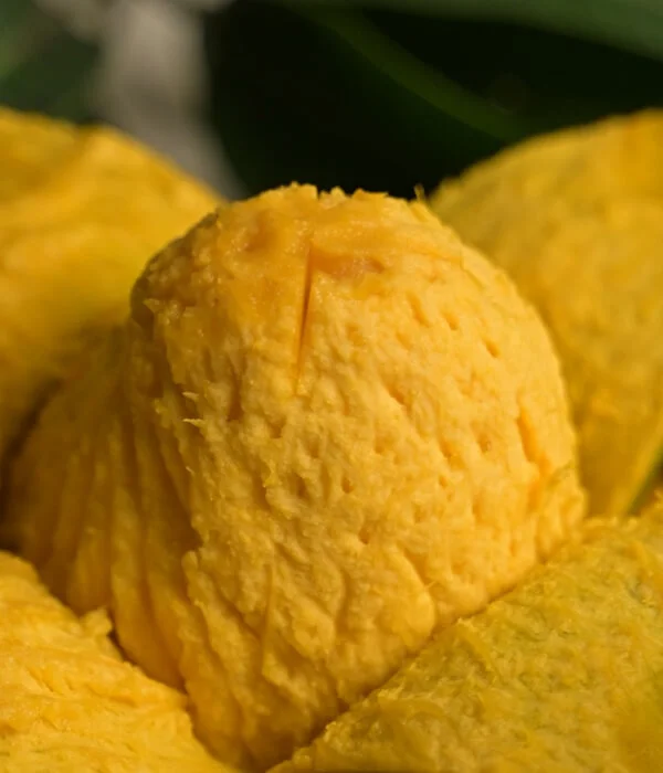g-5 হিমসাগর (রেগুলার) ১২ কেজি