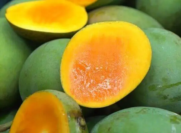 utsob-g-harivanga-1 হাড়িভাঙ্গা (রেগুলার সাইজ) ১২ কেজি