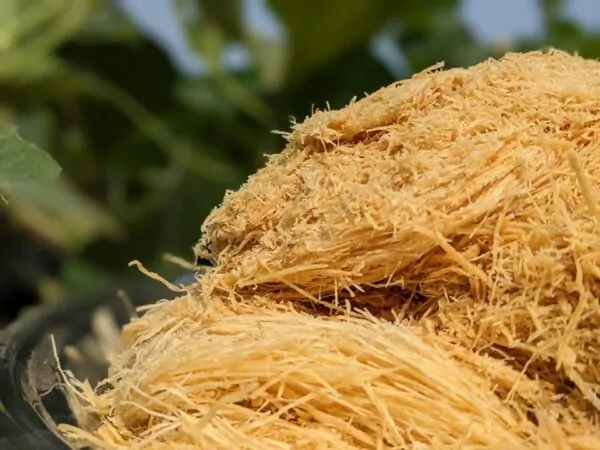 6 ঘিয়ে ভাজা শাহী লাচ্ছা সেমাই