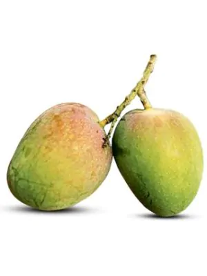 বারি-৪ আম